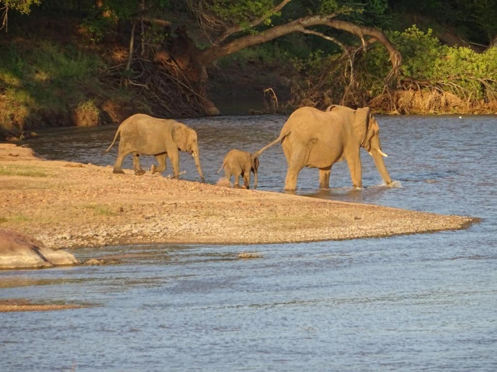 Limpokwena Nature Reserve Tokio Екстериор снимка